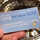 망고트리여행사