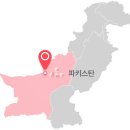 솔트뱅크(주) 이미지