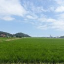 명수목장 이미지