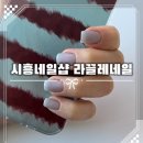 힐링애견샵 | 시흥네일샵 라끌레네일, 애견동반가능 은행동네일