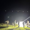 제주 덕천곤충영농조합 등화채집