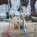 푼타하우스 이미지