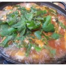 회와 멍게 친구들 이미지