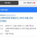 더스테이 132 | 경주 황리단길 한옥 숙소 스테이 여우잠 후기