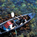 ◈강원도 삼척의 여름휴가 추천여행◈2025.05.10. 이미지