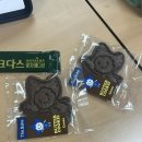 신흥로511번길 | [11월 4주차] 엘리트코스 밟는 중 (네이버 대표이사가 될 여자)