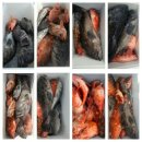 피쉬헌터 이미지