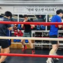 미트학원 | [부평 복싱] 지도진의 1:1 밀착 미트 코칭부터 다이어트, 키즈복싱까지 정착 후기!