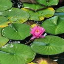 외정공원 이미지