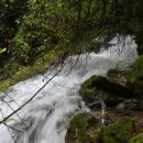 고라데이마을 이미지