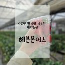 형제농장1호 | 딸기밭 체험과 동물들과 교감할 수 있는 아이들의 천국, 용인가볼만한곳: 헤븐온어스