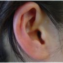 귀 건강학(이혈테라피) 이미지