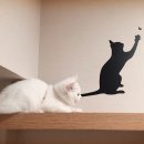 비포유동물병원 이미지