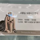 웰니스 펫뷰티 이미지