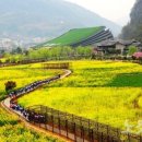월드항공여행사 - 전주시 완산구 온고을로 206 | 월드항공여행사