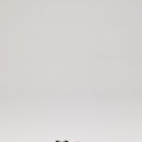 반지왕2 이미지