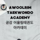 공감어울림 태권도 이미지