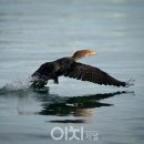 지정낚시터 이미지