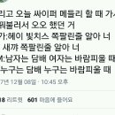 콘서트에서 여혐논란있었던 가사 다 바꿔부른 방탄소년단 이미지