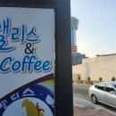 신일이용소 Daum카페