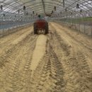 공주농장 이미지