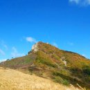 2021-11-21(일) 경남 합천 황매산 환상의 억새 능선 (은빛물결이 파란 하늘에 춤추듯)-여행 이미지