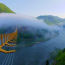 출렁다리 이미지