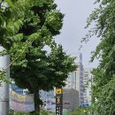 서대문역8번출구 이미지