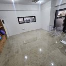 힐링힐링 반려견 교육 유치원 이미지