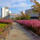 신서중앙공원 이미지