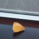 레스트인당진 이미지