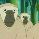 라이라이 이미지