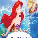 평화로07 이미지