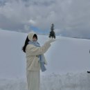 계산2동안남경로당 | [삿포로 여행] 2월 &#39;마이재팬 비에이 투어&#39; 내돈내산 추천 후기 (코스 소개, 가격 등)
