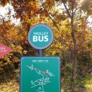 저상목장 이미지