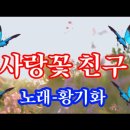 사랑꽃 친구/노래 황기화(작사 횡기화/작곡 박두수) 이미지