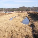 계전1리 이미지