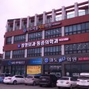 마도메디의원 티스토리