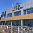 반짝 반짝 창의놀이 2 이미지