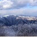 2019년 제1차 1월 13일 단양 소백산 정기산행 안내 이미지