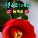 아름다운 당신의 향기 이미지