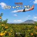 (주)제주항공 | 26년 하반기 제주항공 찜특가 성공 후기 및 꿀팁