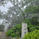 수국수집 | [부산 여행] 안개 속 몽환적인 영도 태종사, 실시간 수국 보고 왔어요! (방문 전 필독)