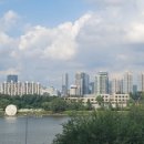 미리내 행정사사무소 이미지