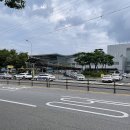 순천 청춘수제버거 / 순천역 햄버거