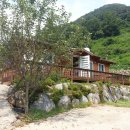 좋은채공인중개사사무소 이미지