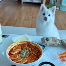 빛나개 | 8월 귀여운 일상기록