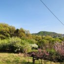 중랑캠핑숲 이미지