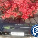 지에스(GS)25 울산하트점 이미지