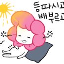 금상수상쉐프의맛좋은족발 이미지